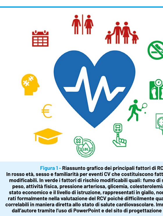 Riassunto grafico dei principali fattori di rischio cardiovascolare: in rosso età, sesso e familiarità (fattori non modificabili); in verde fumo, dieta, peso, attività fisica, pressione arteriosa, glicemia e colesterolemia (fattori modificabili); in giallo stress, stato economico e livello di istruzione, non considerati formalmente nella valutazione del RCV.
