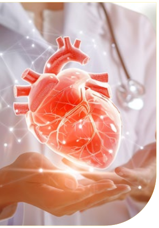 Illustrazione dell'articolo