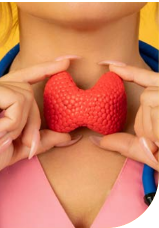 Primo piano del collo e del décolleté di una giovane donna che sostiene con entrambe le mani un modello anatomico rosso della ghiandola tiroide, appoggiato alla base del collo; sulle spalle uno stetoscopio blu.